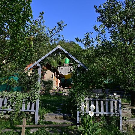 Himalayan Mud Resort Касол Екстериор снимка